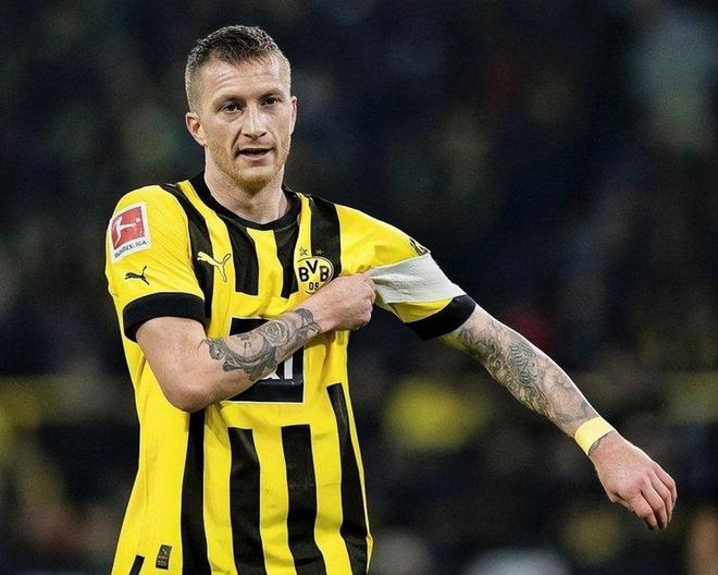 转折点！浙江队主帅复盘，荷甲窗口期攻防权衡，更衣室稳定，医务组通报恢复的简单介绍